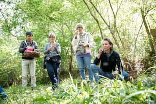 ATELIER: CUEILLETTE DE PLANTES COMESTIBLES, 

Le Monde
